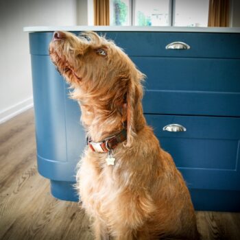 Crawford_1 COPY copy