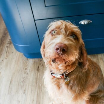 Crawford_2 COPY copy