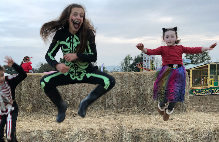 Closed October Half Term 2025